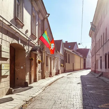 Cosy Cathedral Square In The Heart Of Old Town Апартаменти Вільнюс