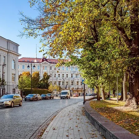 Cosy Cathedral Square In The Heart Of Old Town Вільнюс
